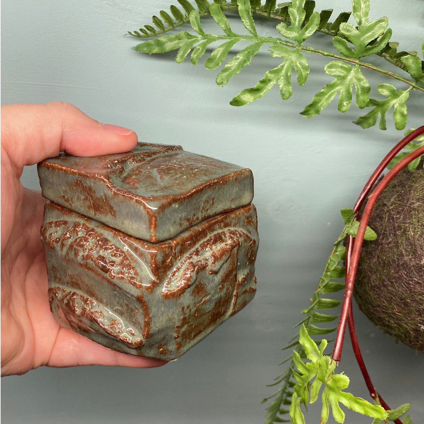 kurinuki box avocado